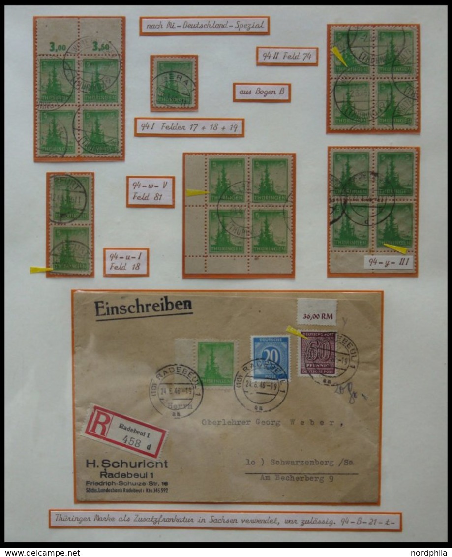 THÜRINGEN 94 **,o,Brief,* , Ausstellungssammlung 5 Pf. Tannen Im Thüringer Wald, Spezialisiert Nach Papieren, Farben Und - Sonstige & Ohne Zuordnung