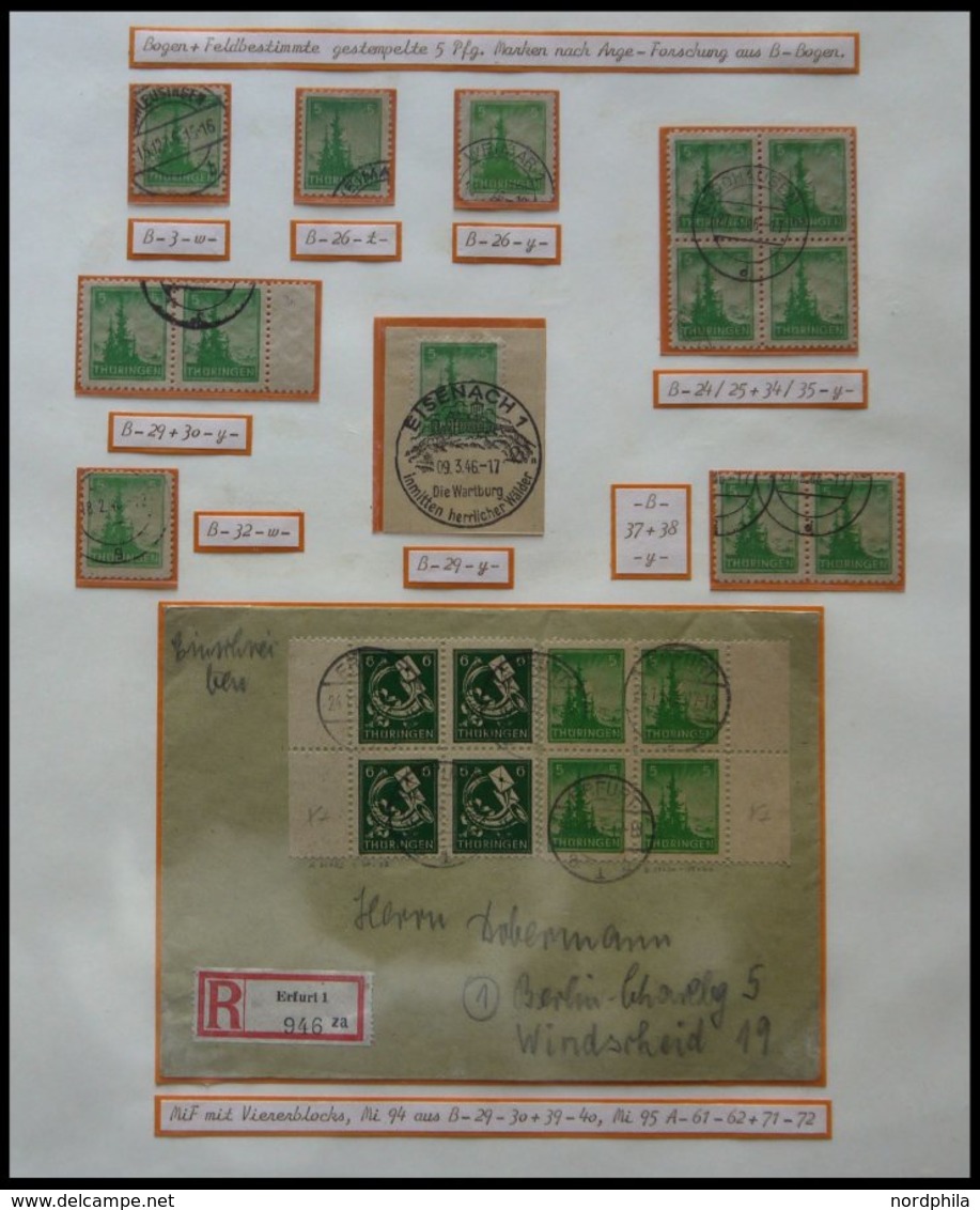 THÜRINGEN 94 **,o,Brief,* , Ausstellungssammlung 5 Pf. Tannen Im Thüringer Wald, Spezialisiert Nach Papieren, Farben Und - Other & Unclassified