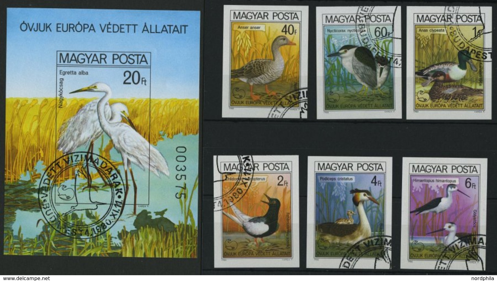 UNGARN 3451-56B,Bl. 146B O, 1980, Europäische Naturschutzkampagne, Einzelmarken Und Block, Ungezähnt, Pracht, Mi. 70.- - Autres & Non Classés