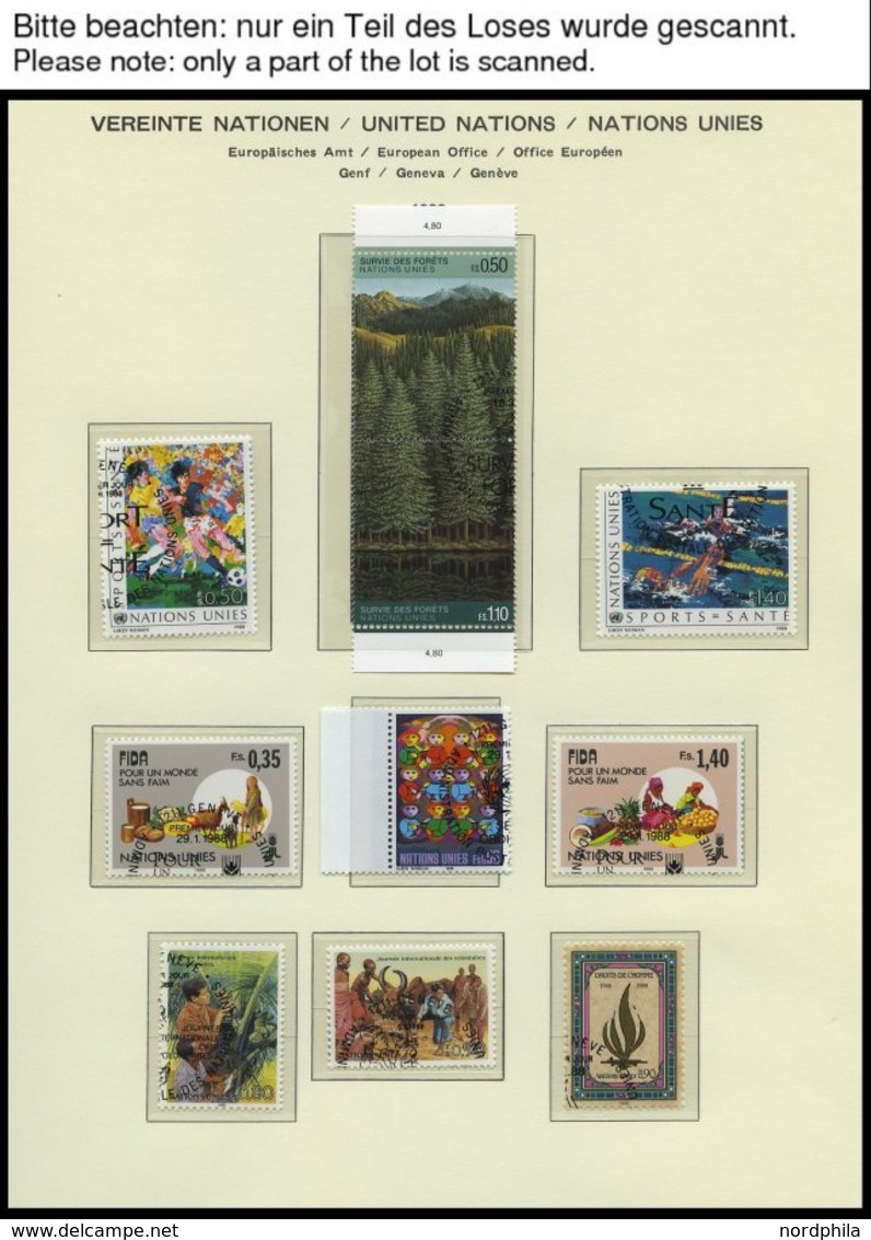 UNO - GENF O, Komplette Gestempelte Sammlung Genf Von 1969-89 Auf Schaubek Falzlosseiten, Prachterhaltung, Mi. 178.70 - Autres & Non Classés