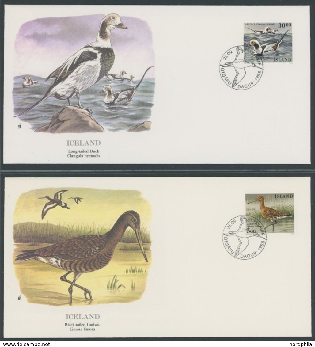 SONSTIGE MOTIVE Pflanzen Und Tiere Der Welt, 96 Verschiedene FDC`s Der National Audubon Society, Prachterhaltung - Non Classés