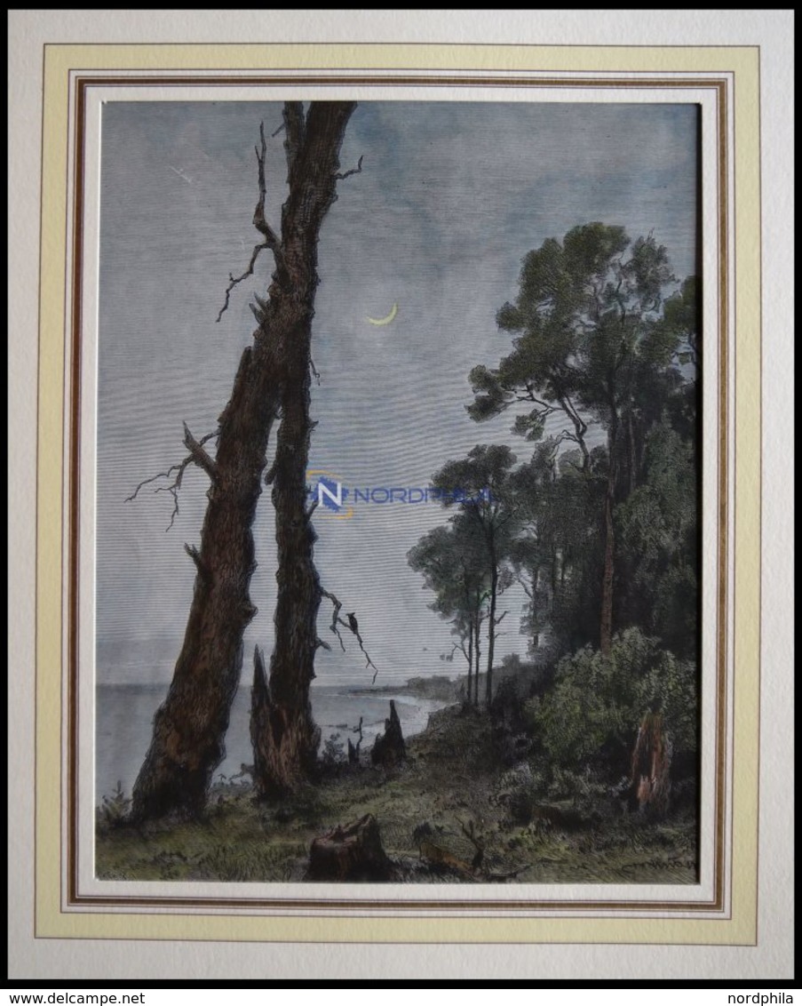KRANZ: Seeufer In Der Abenddämmerung, Kolorierter Holzstich Von Knorr Von 1881 - Lithographies