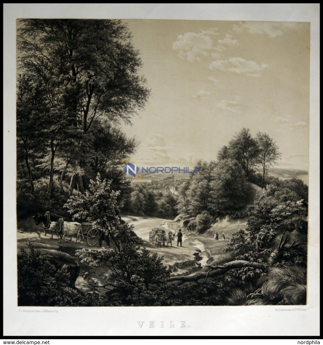 VEJLE (Veile), Gesamtansicht Aus Einem Waldweg Heraus Mit Zwei Ochsenfuhrwerken Im Vordergrund, Lithographie Von Hellese - Litografía