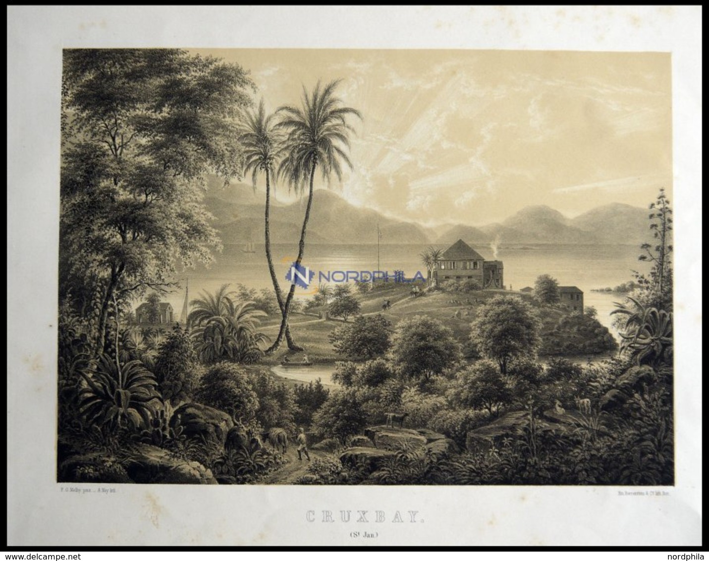 Dänisch-Westindien: CRUSBAY (Cruxbay), Blick Auf Ein Herrschaftliches Anwesen, Lithographie Mit Tonplatte Von Alexander  - Lithographies