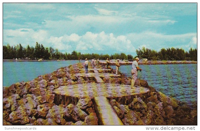 Florida Venice Fishing On The Jetty - Venice