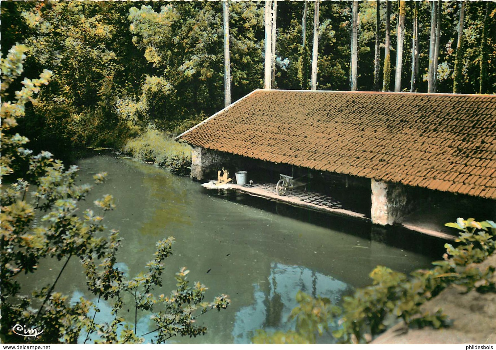 ESSONNE LARDY ( Cpsm)  Le Lavoir - Lardy