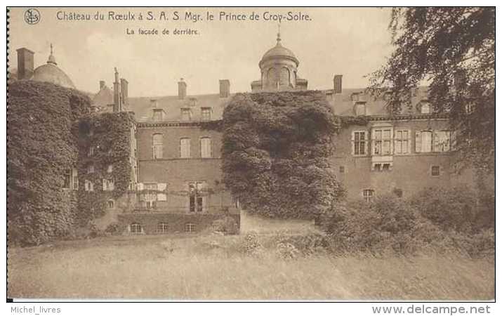 Le Roeulx - Château à S A S Le Prince De Croy-Solre - La Façade De Derrière - Pas Circulé - TBE - Le Roeulx