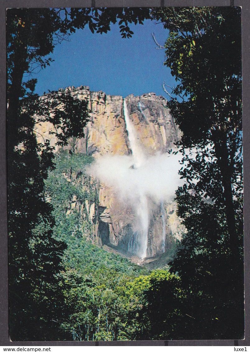 VENEZUELA  ,  OLD  POSTCARD - Venezuela