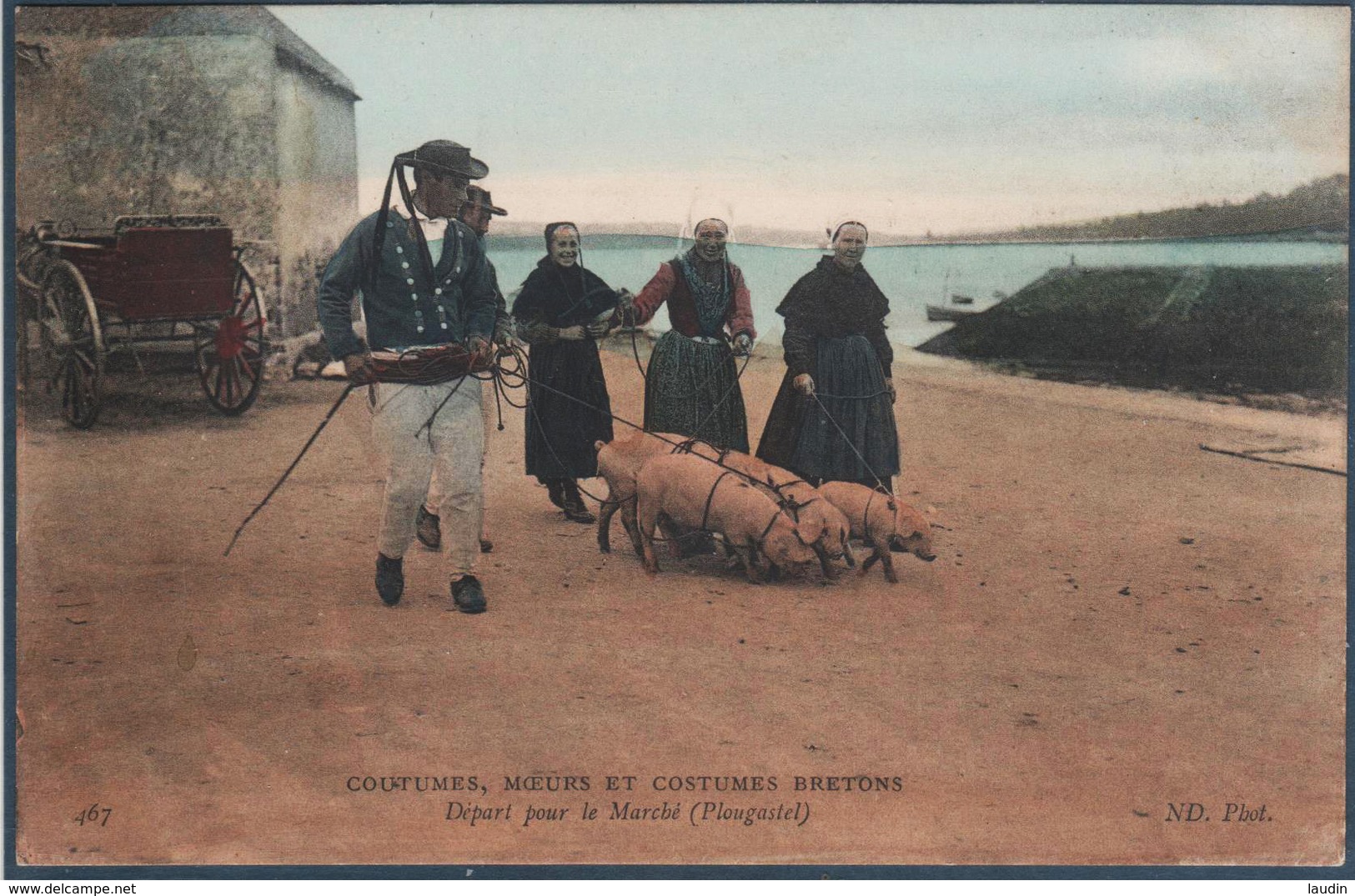 Lot 1 de 63 cartes postales France uniquement , tous les scans dans l'annonce