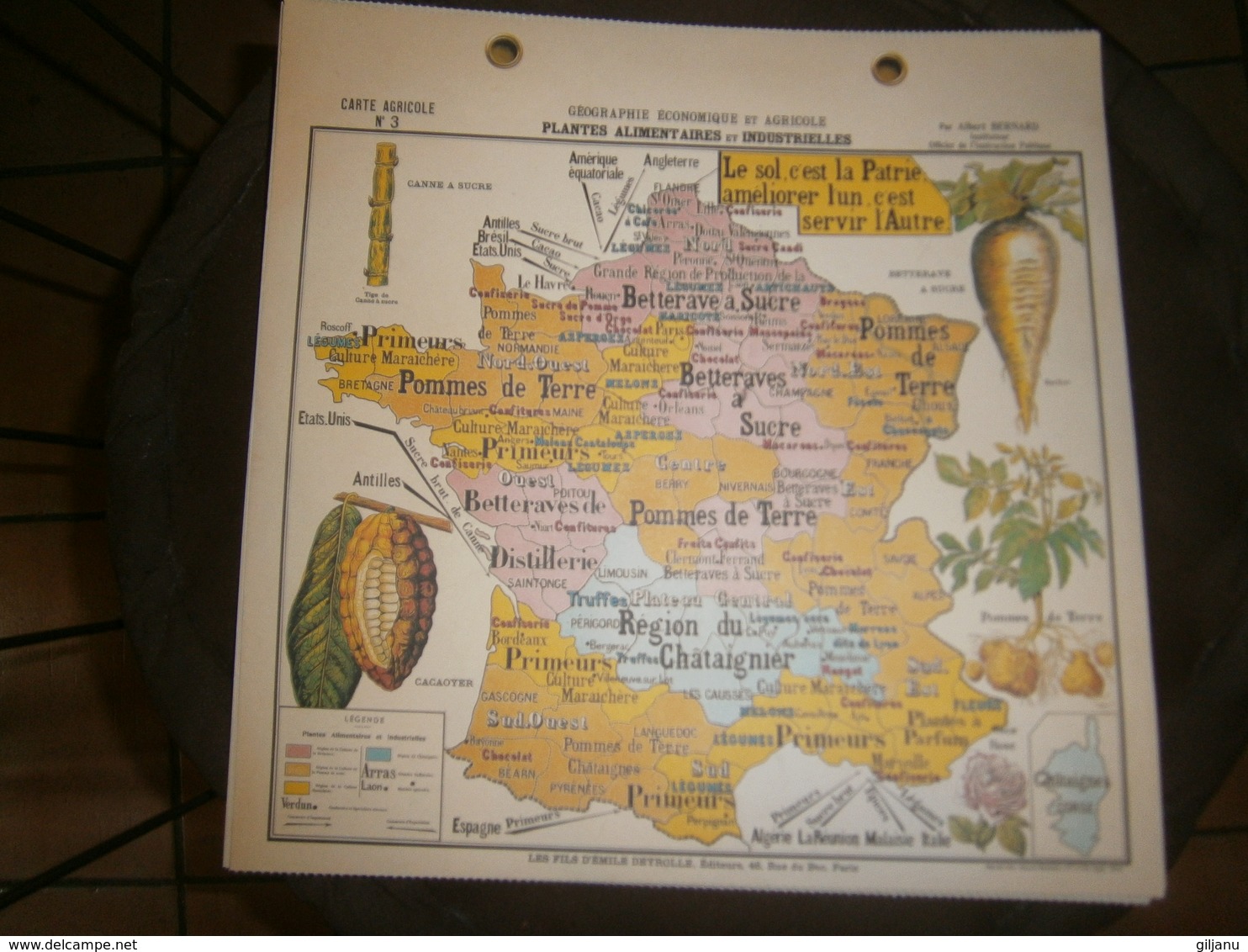 CARTE AGRICOLE GEOGRAPHIE ECONOMIQUE ET AGRICOLE  PLANTES ALIMENTAIRES ET INDUSTRIELLES PAR ALBERT BERNARD DIM 31 X31 CM - Other Plans