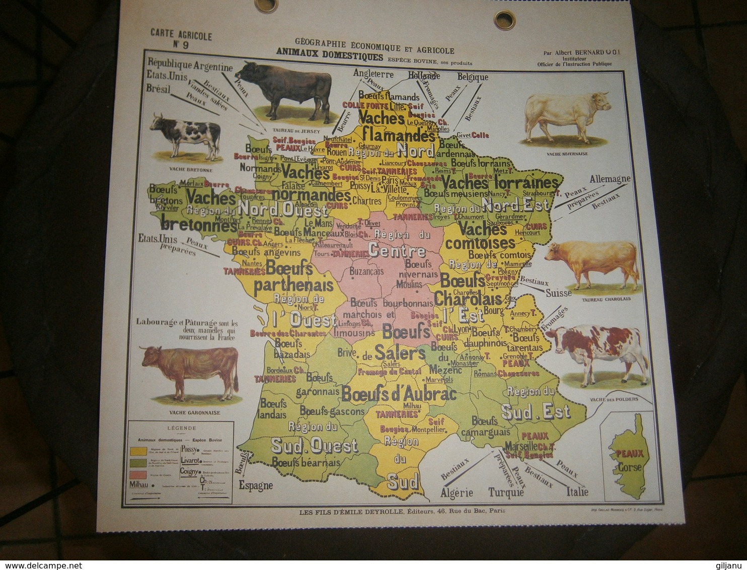 CARTE AGRICOLE GEOGRAPHIE ECONOMIQUE ET AGRICOLE  ANIMAUX DOMESTIQUES  ESPECE BOVINE  PAR ALBERT BERNARD DIM 31 X31 CM - Other Plans