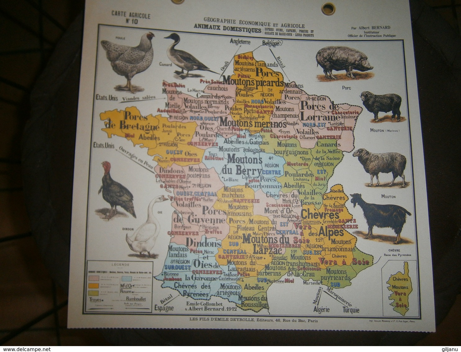 CARTE AGRICOLE GEOGRAPHIE ECONOMIQUE ET AGRICOLE  ANIMAUX DOMESTIQUES  ESPECE OVINE   PAR ALBERT BERNARD DIM 31 X31 CM - Altri Disegni