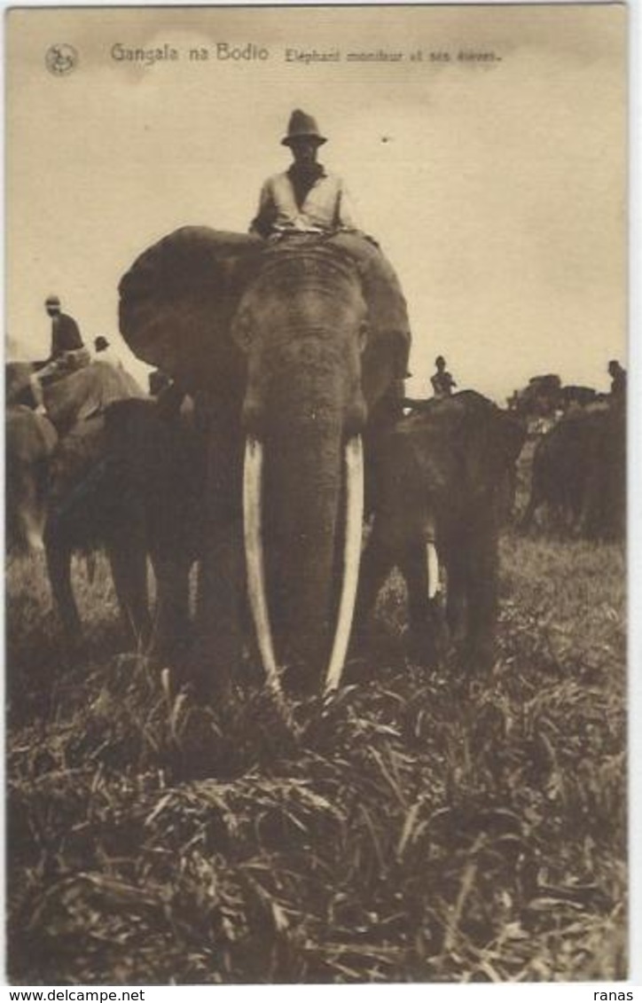CPA éléphant Moniteur ELEPHANT Non Circulé Congo Belge - Congo Belge