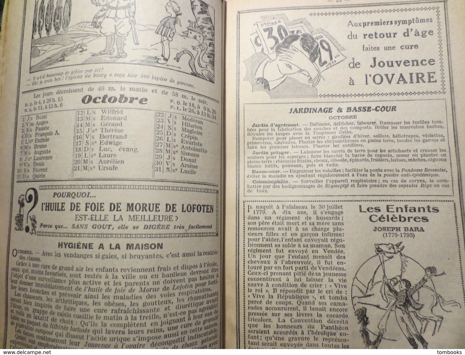 Almanach François - Pharmacie De La Barrière D'Or - Le Havre - 1931 - TBE - - Other & Unclassified