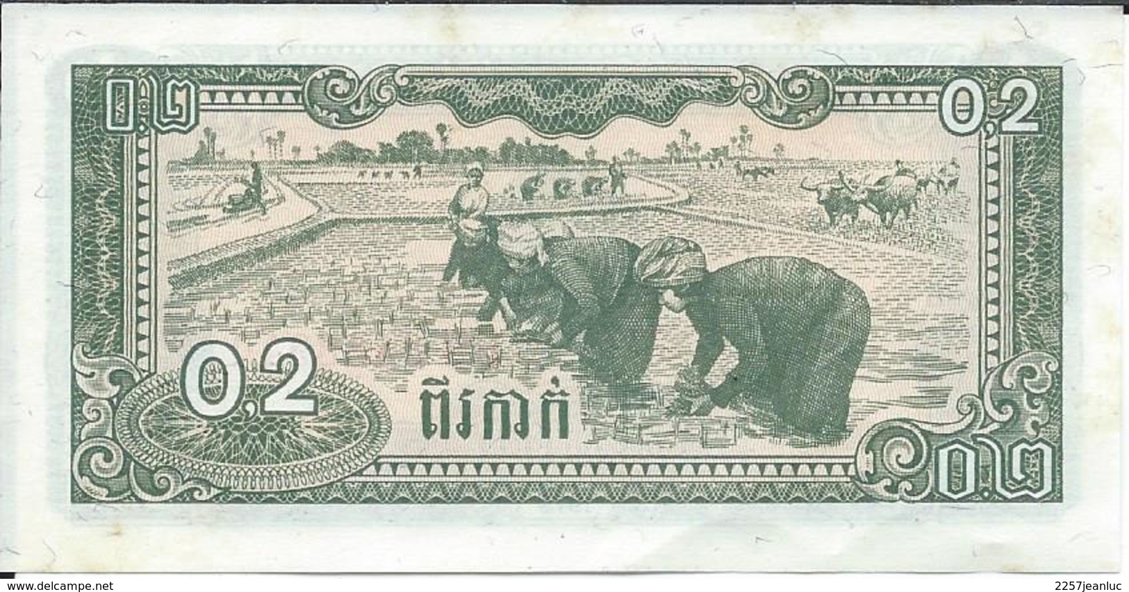 Riziere  Sur  Billet  Du Cambodge . - Cambodia