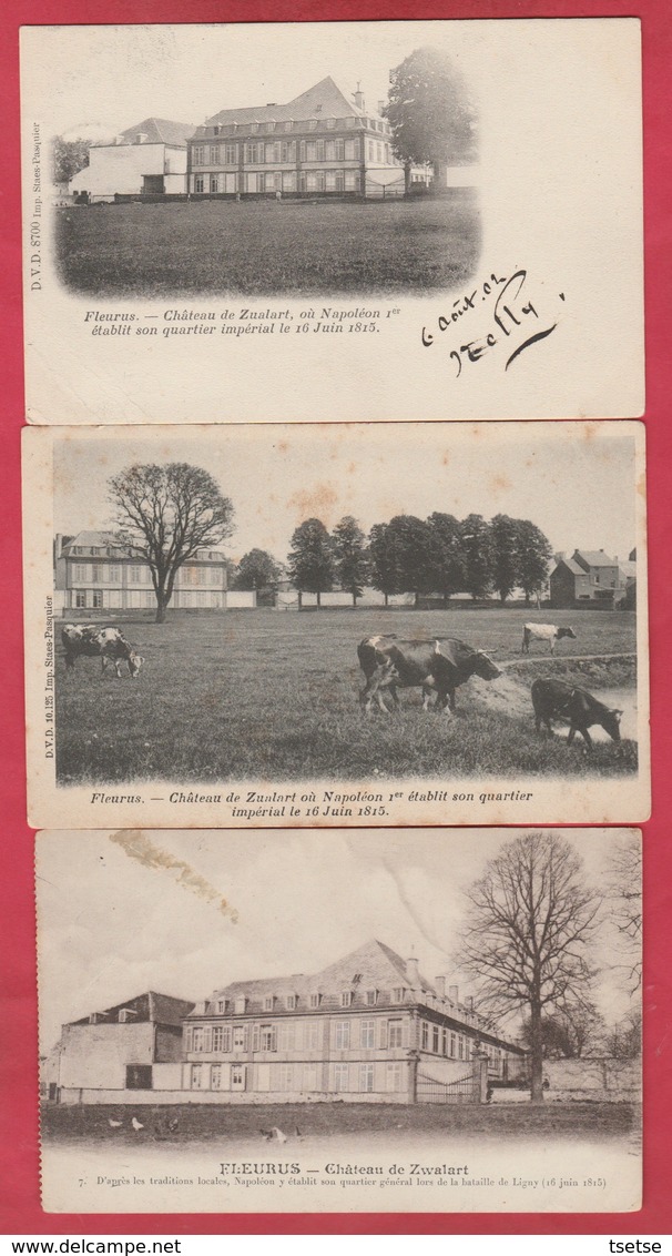 Fleurus - Château De Zualart, Où Napoléon Ier établit Son Quartier Général Le 16 Juin 1815 - 3 Cartes - Fleurus