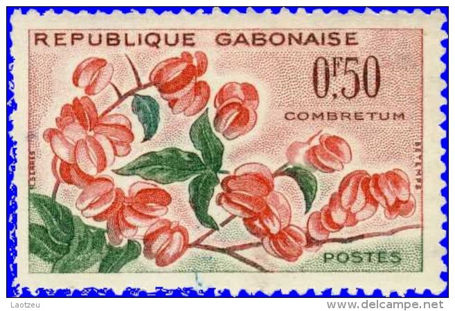 Gabon 1961. ~ YT 153** -  Fleur. Combretum - Gabon (1960-...)