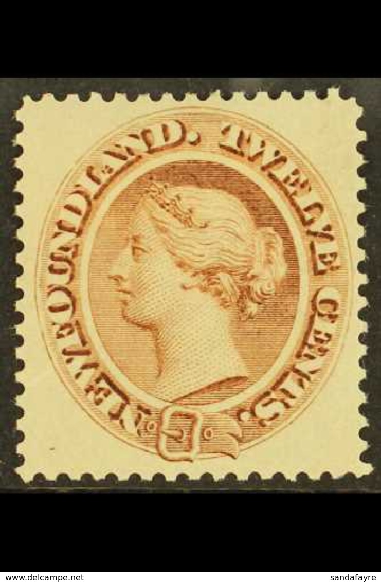 1894 12c Deep Brown, SG 61, Very Fine Mint. For More Images, Please Visit Http://www.sandafayre.com/itemdetails.aspx?s=6 - Autres & Non Classés