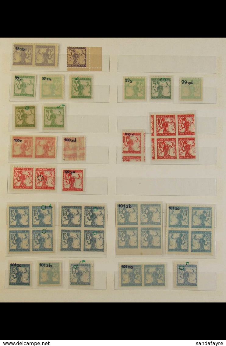 1919-1920 'CHAINBREAKERS' SPECIALIZED MINT COLLECTION. An Interesting Fine Mint Collection On Stock Pages, Includes Many - Slovenia