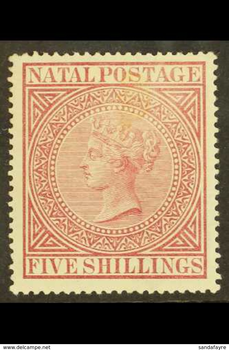 NATAL 1874-99 5s Maroon, Perf 14, SG 71, Mint, Light Discoloration Above The Queen's Head, Otherwise Very Fresh For More - Unclassified