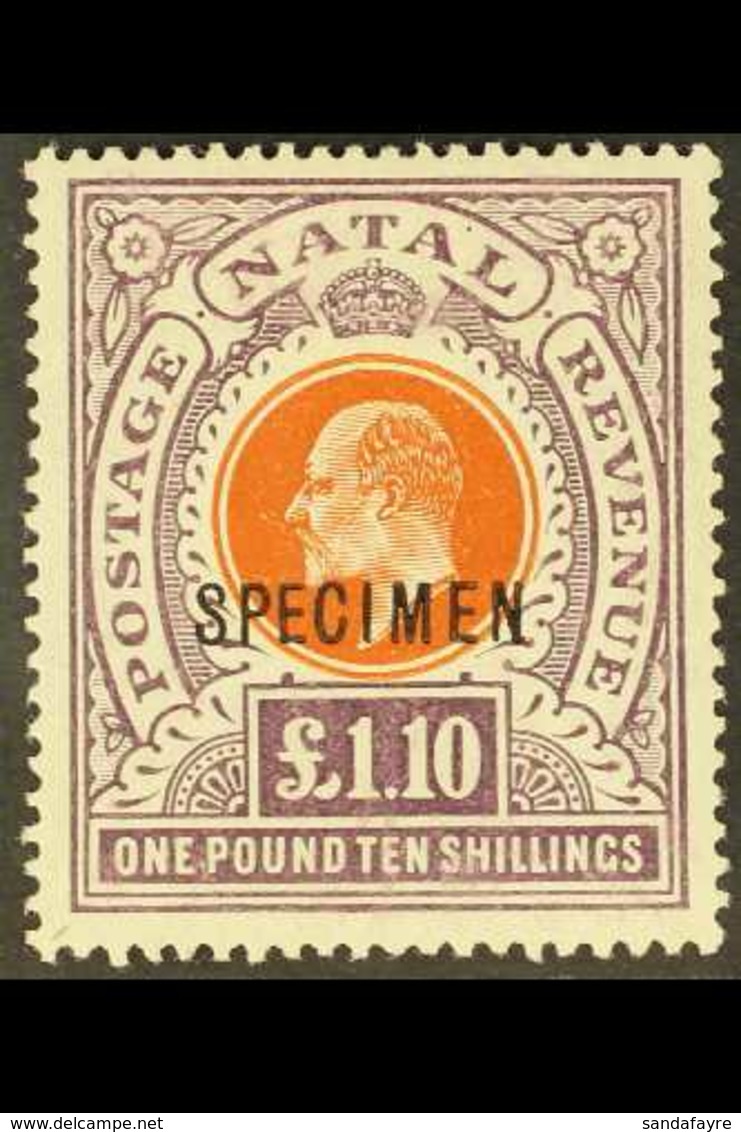 NATAL 1904-08 £1.10s Brown-orange & Deep Purple, Wmk Mult Crown CA, "SPECIMEN" Overprint, SG 162s, Very Fine Mint. For M - Unclassified