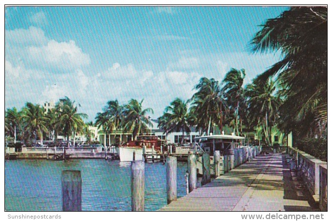 Florida Fort Myers Palm Circled Yacht Basin 1954 - Fort Myers