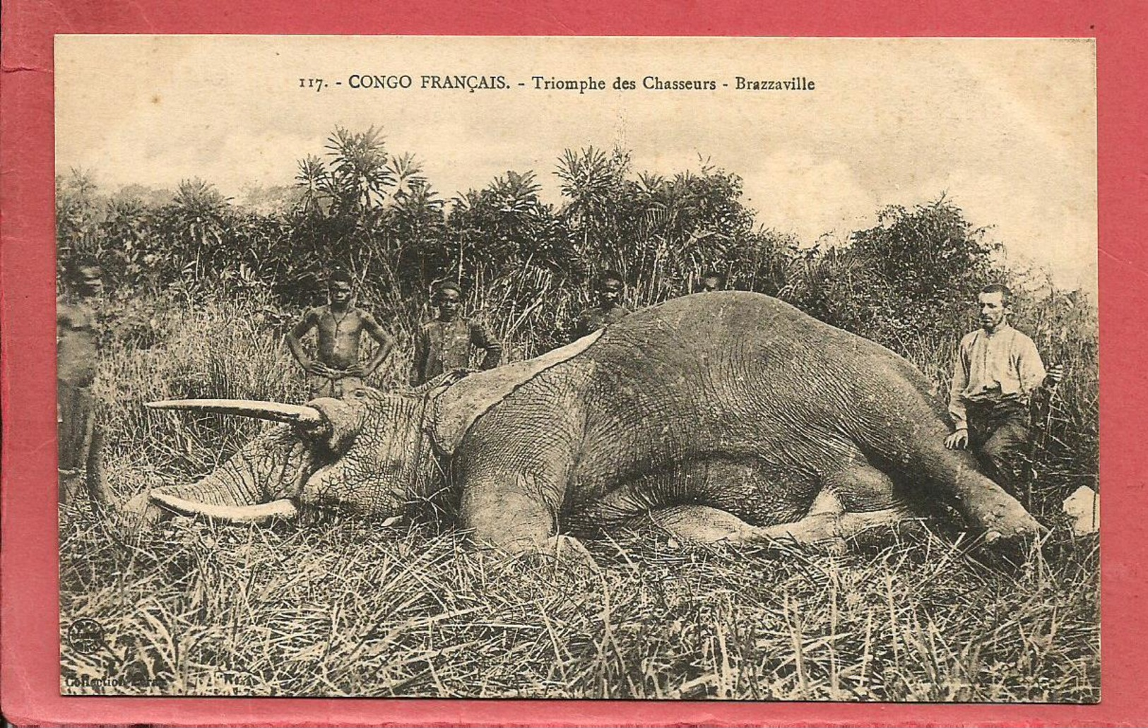 Congo Français - Triomphe Des Chasseurs / Chasse à L'éléphant - Autres & Non Classés