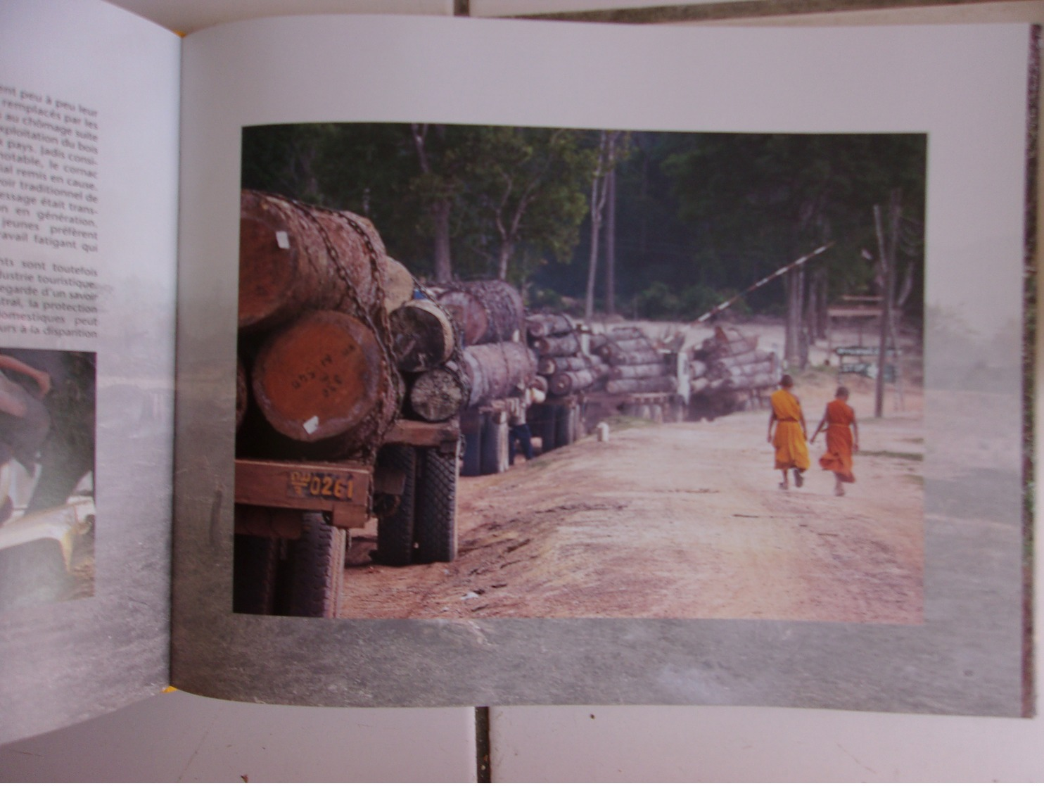 LA CARAVANE DES ELEPHANTS ElefantAsia : 1300 Kms Au Laos Pour Sauver L'éléphant D'Asie (Actes Sud 2008 Comme Neuf - Voyages