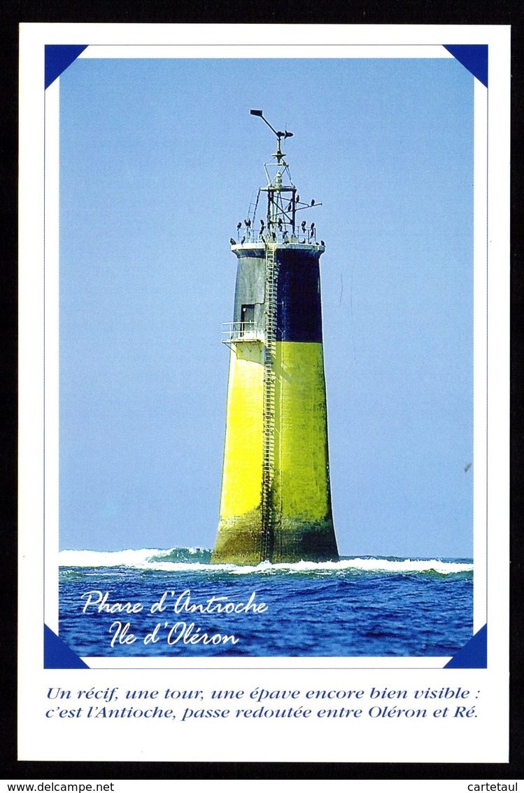 17 Ile D'OLERON Phare D'Antioche Tour Rarement Représenté Sur Carte Postale Edition Locale Neuve SUPERBE 2 Scan - Ile D'Oléron