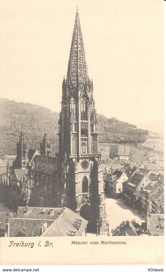 Deutschland - Bade-Wurtemberg - Freiburg I. Br. Münster Vom Martinsturm - Autres & Non Classés