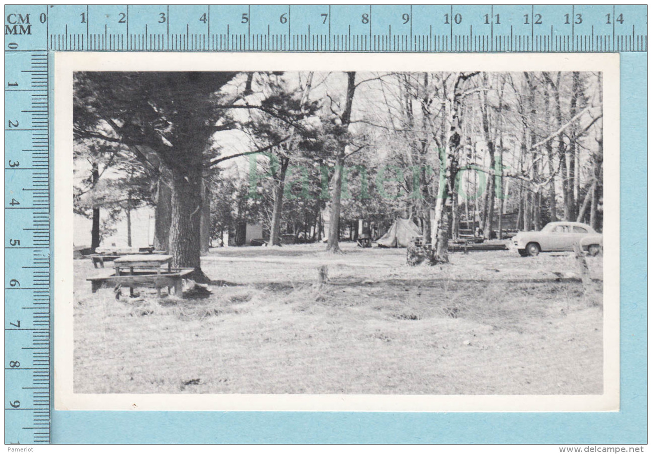 White Lake Ontario Canada - Harry Box's Grove Camping  - Postcard, Post Card, Carte Postale - Autres & Non Classés