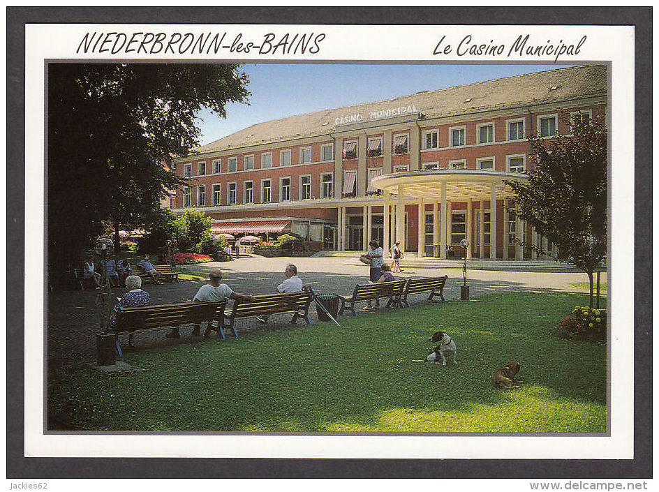 81217/ NIEDERBRONN-LES-BAINS, Le Casino Municipal - Niederbronn Les Bains