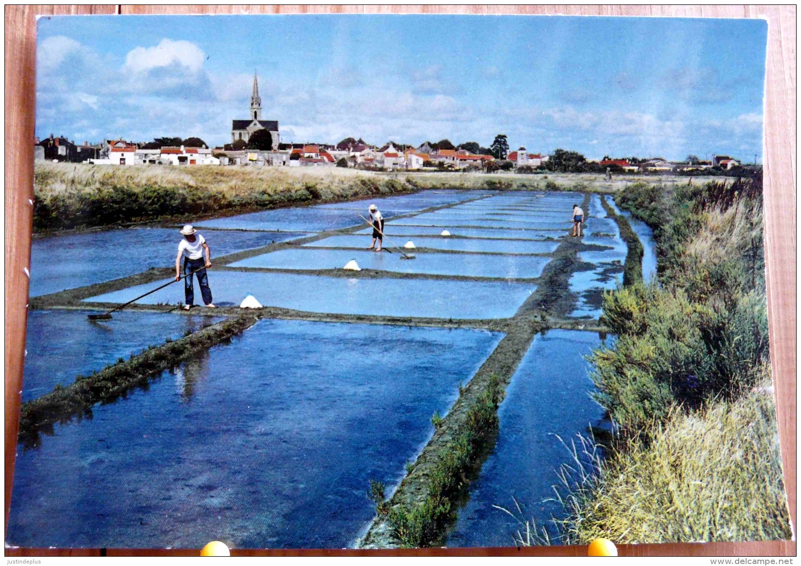 PAYS DE RETZ PITTORESQUE SALINS A BOURNEUF EN RETZ MARAIS SALANS SCAN R/V - Bourgneuf-en-Retz