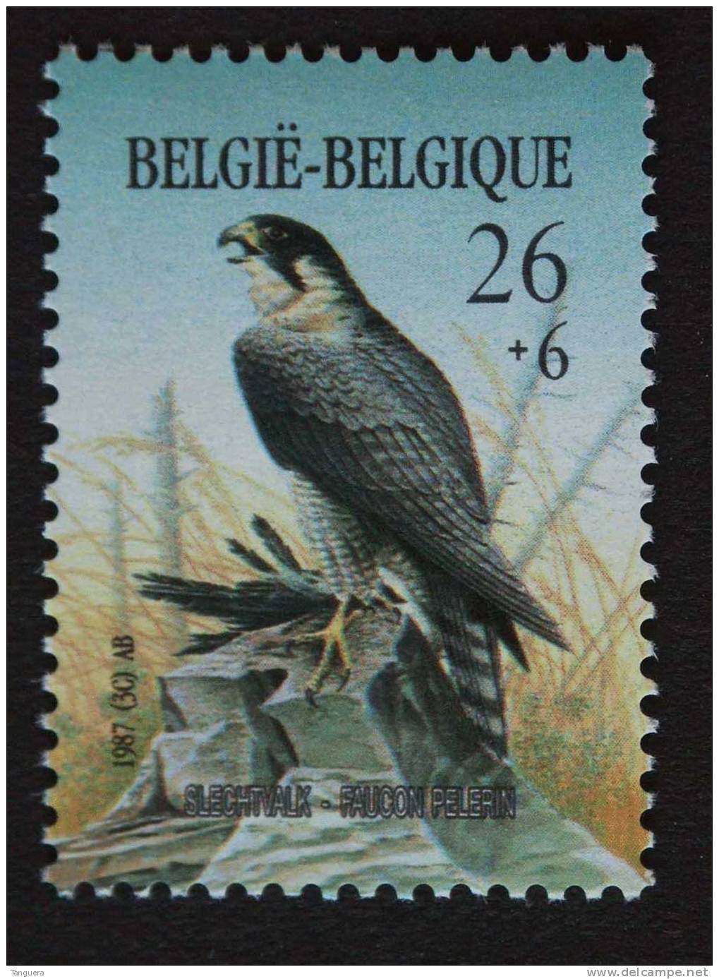 België Belgique 1987 Slechtvalk Faucon COB 2246 MNH ** - Aigles & Rapaces Diurnes