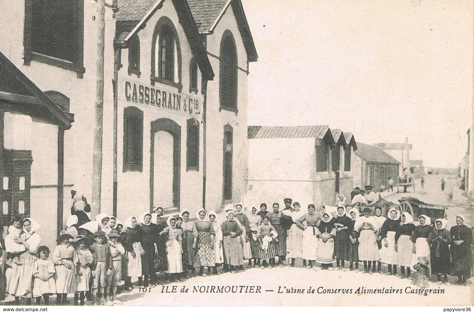 NOIRMOUTIER (Vendée) - L'Usine De Conserves Alimentaires CASSEGRAIN - Animée - Noirmoutier