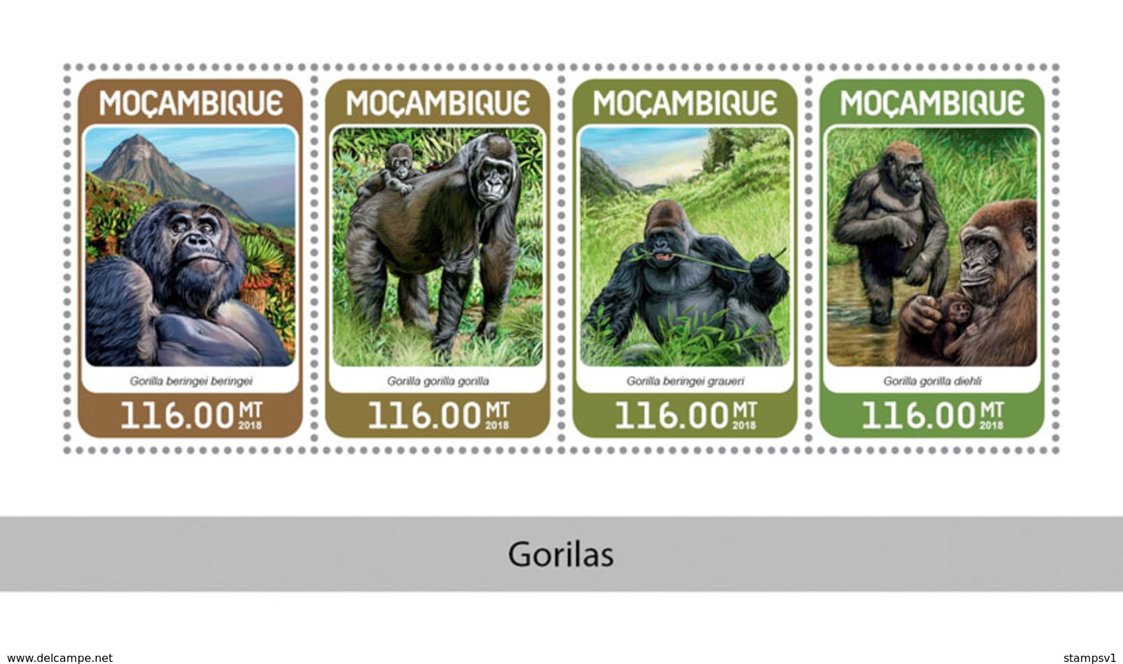 Mozambique. 2018 Gorillas. (324a) - Gorilles