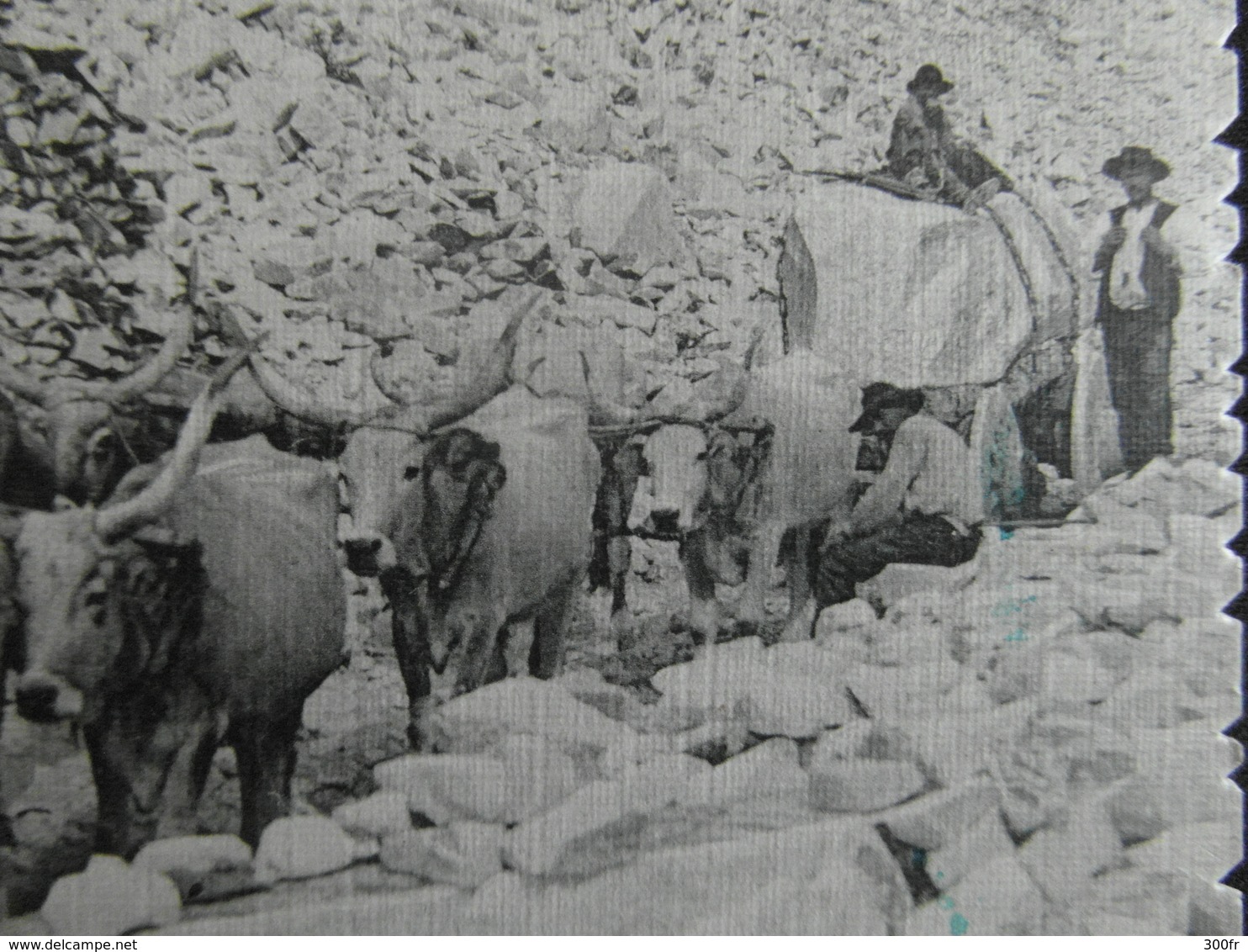 CP CAVE DI CARRARA TRASPORTO MARMI ANIMEE 1916 - Carrara