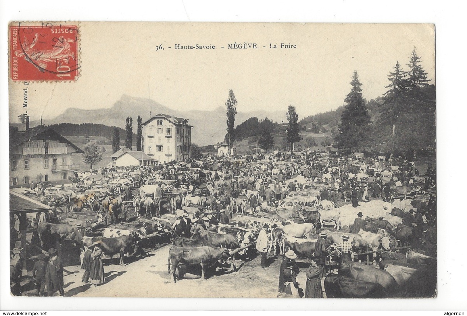 20201 - Haute-Savoie Mégève La Foire Vaches - Vaches