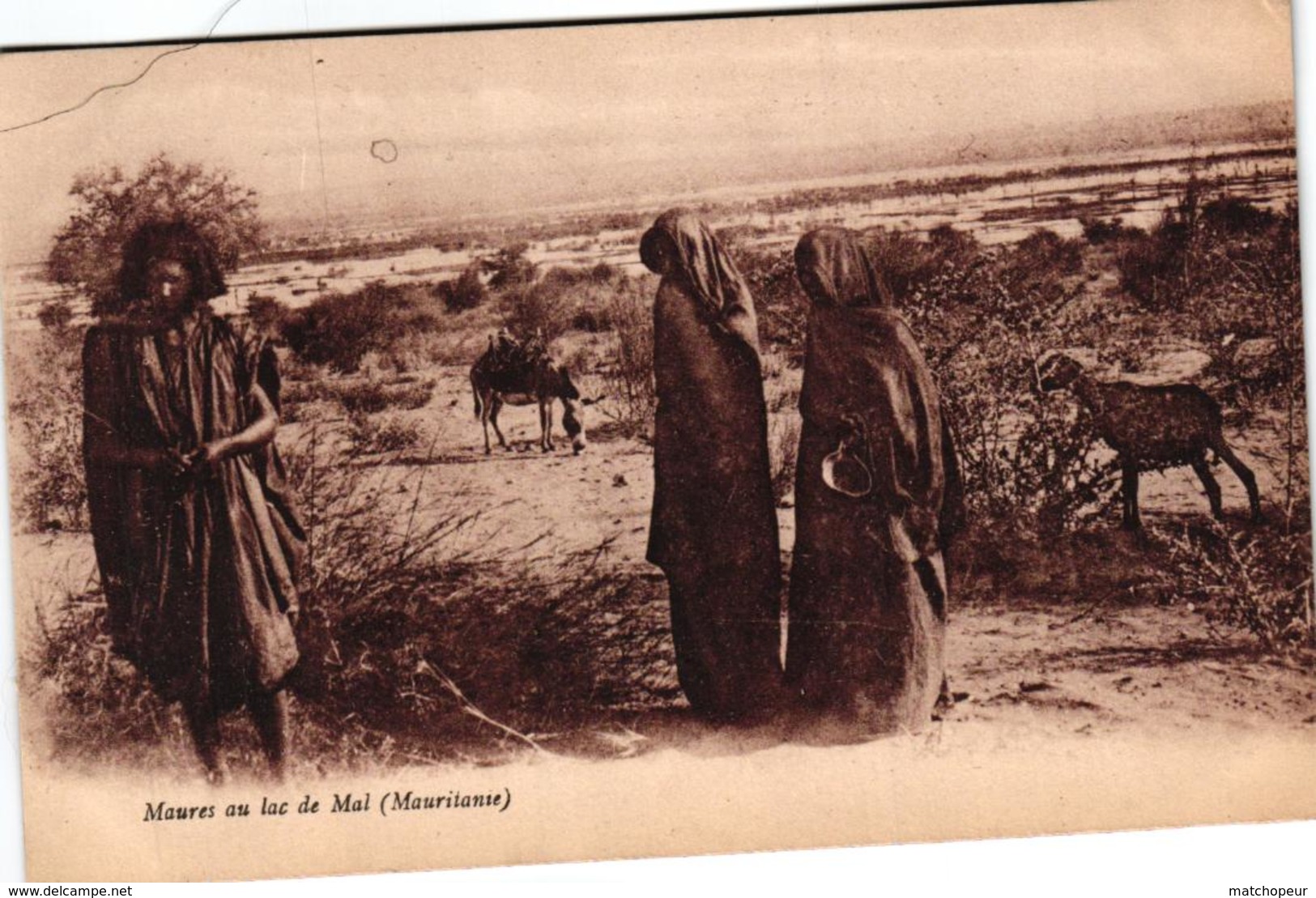 MAURITANIE - MAURES AU LAC DE MAL - Mauritanie