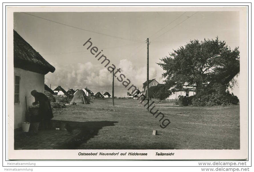 Ostseebad Neuendorf Auf Hiddensee - Foto-AK 1940 - Verlag Foto-Ebel - Hiddensee