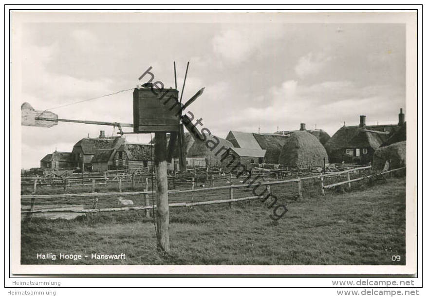 Hallig Hooge - Hanswarft - Foto-AK - Verlag E. Rubin Lübeck - Halligen