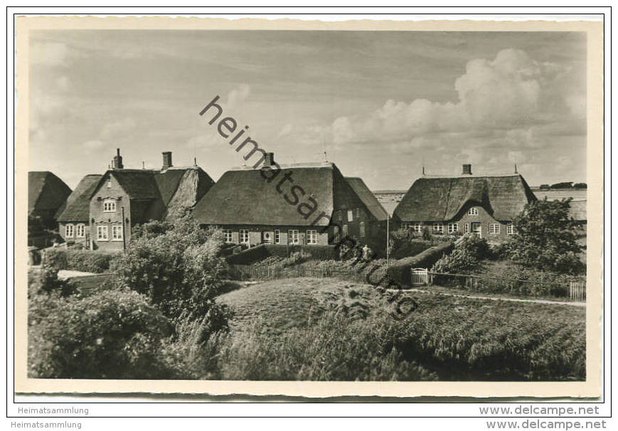 Hallig Hooge - Hanswarft Mit Königshaus - Foto-AK - Verlag Johannes Quedens Norddorf Auf Amrum - Halligen