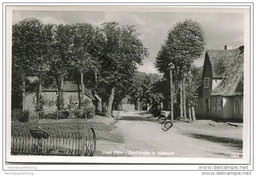 Insel Föhr - Dorfstrasse In Nieblum - Foto-AK - Verlag E. Rubin Lübeck - Föhr