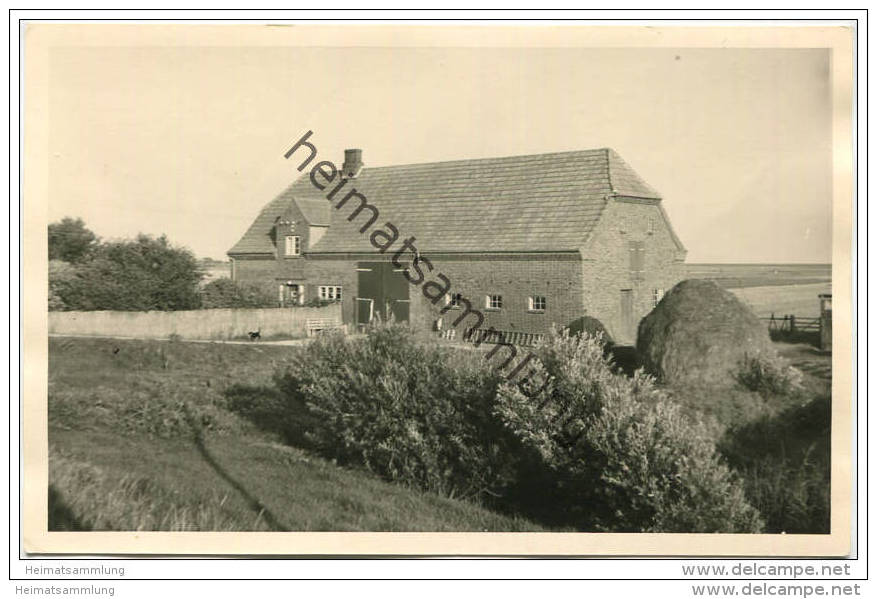 Pellworm - Haus Johs. Petersen - Foto-AK - Halligen