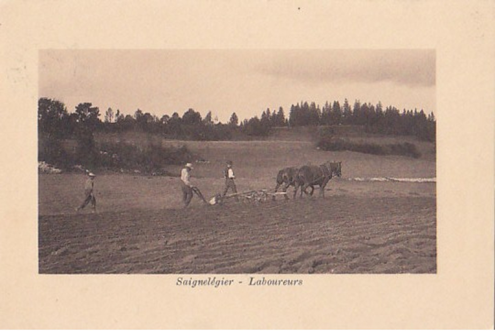 Saignelégier - Laboureurs - 1917      (P-156-30616) - Saignelégier