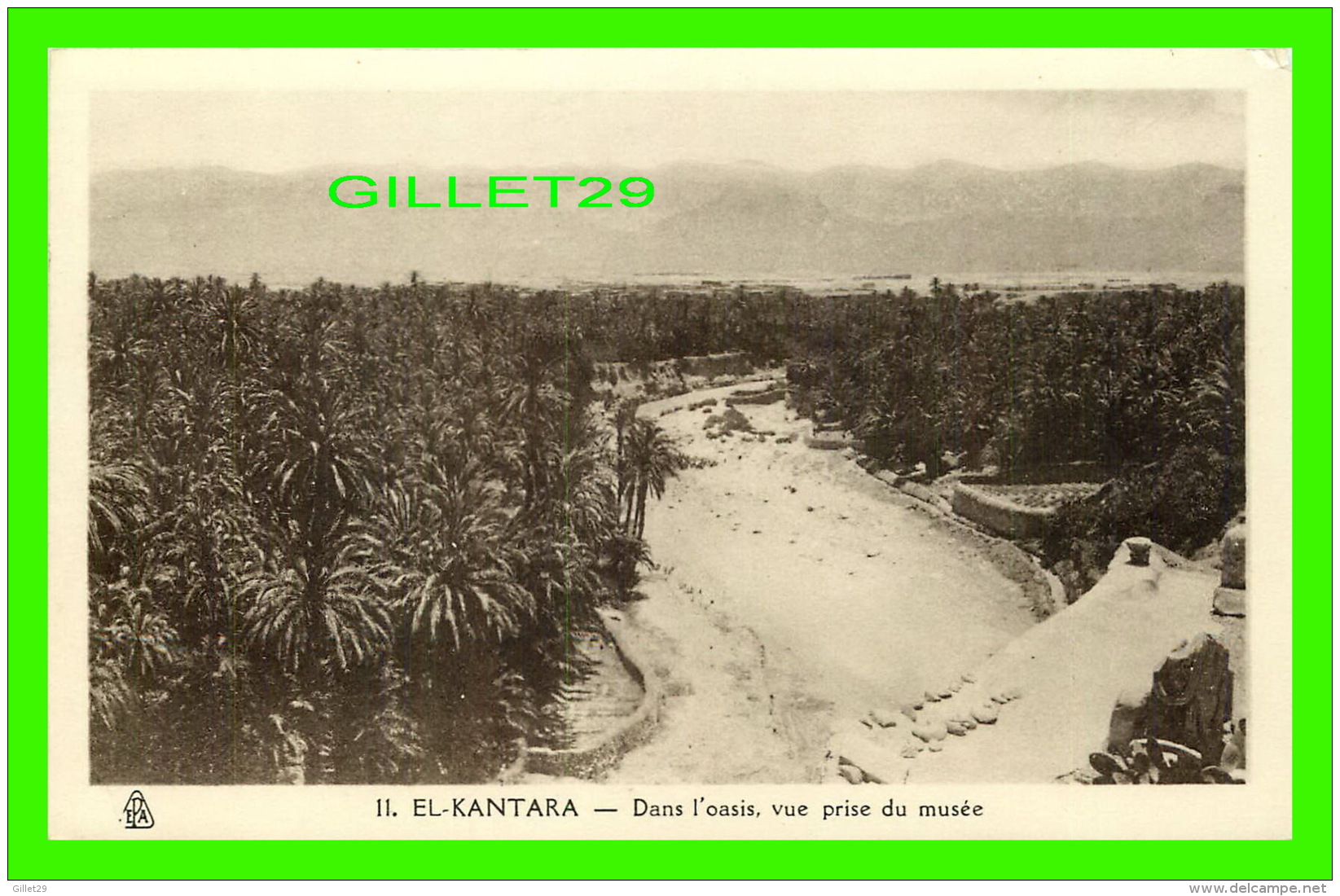 EL-KANTARA, ALGÉRIE - DANS L'OASIS, VUE PRISE DU MUSÉE - PHOTO ALBERT - - Autres & Non Classés