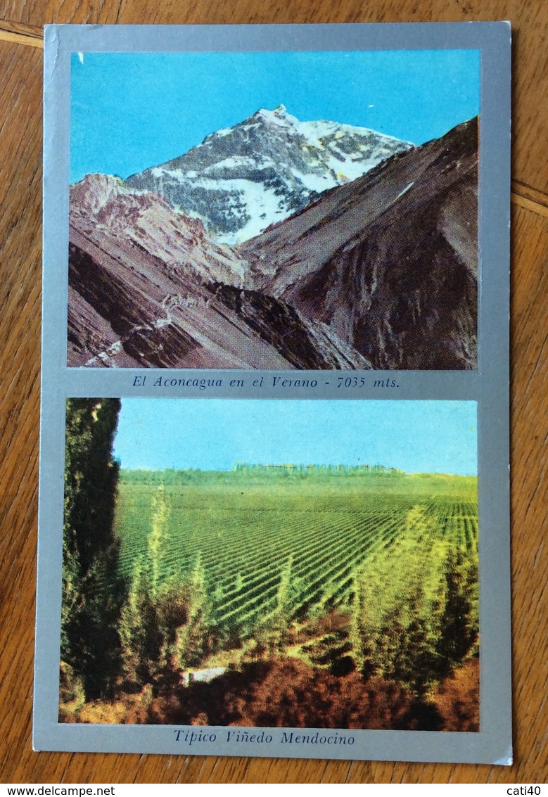 VIGNE E MONTAGNA ACONCAGUA VIGNEDO MENDOCINO - Argentina