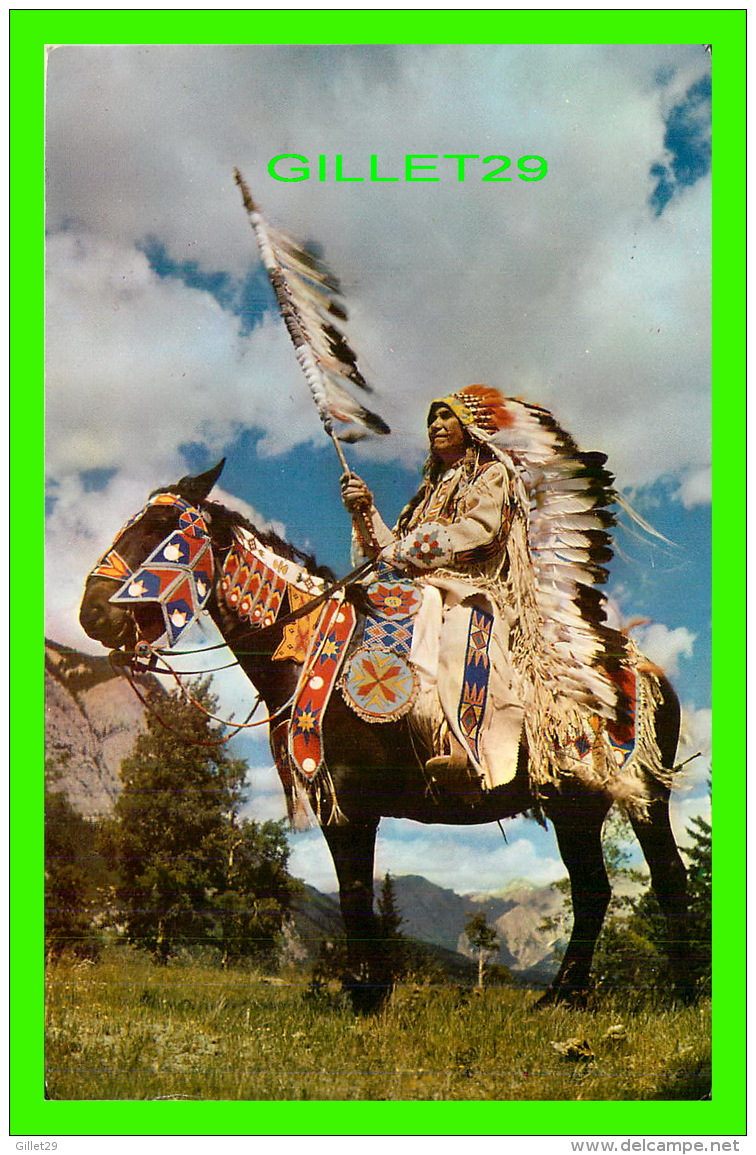 INDIENS -  INDIAN CHIEF - TRAVEL IN 1966 - BYRON HARMON PHOTOS - - Indiens D'Amérique Du Nord