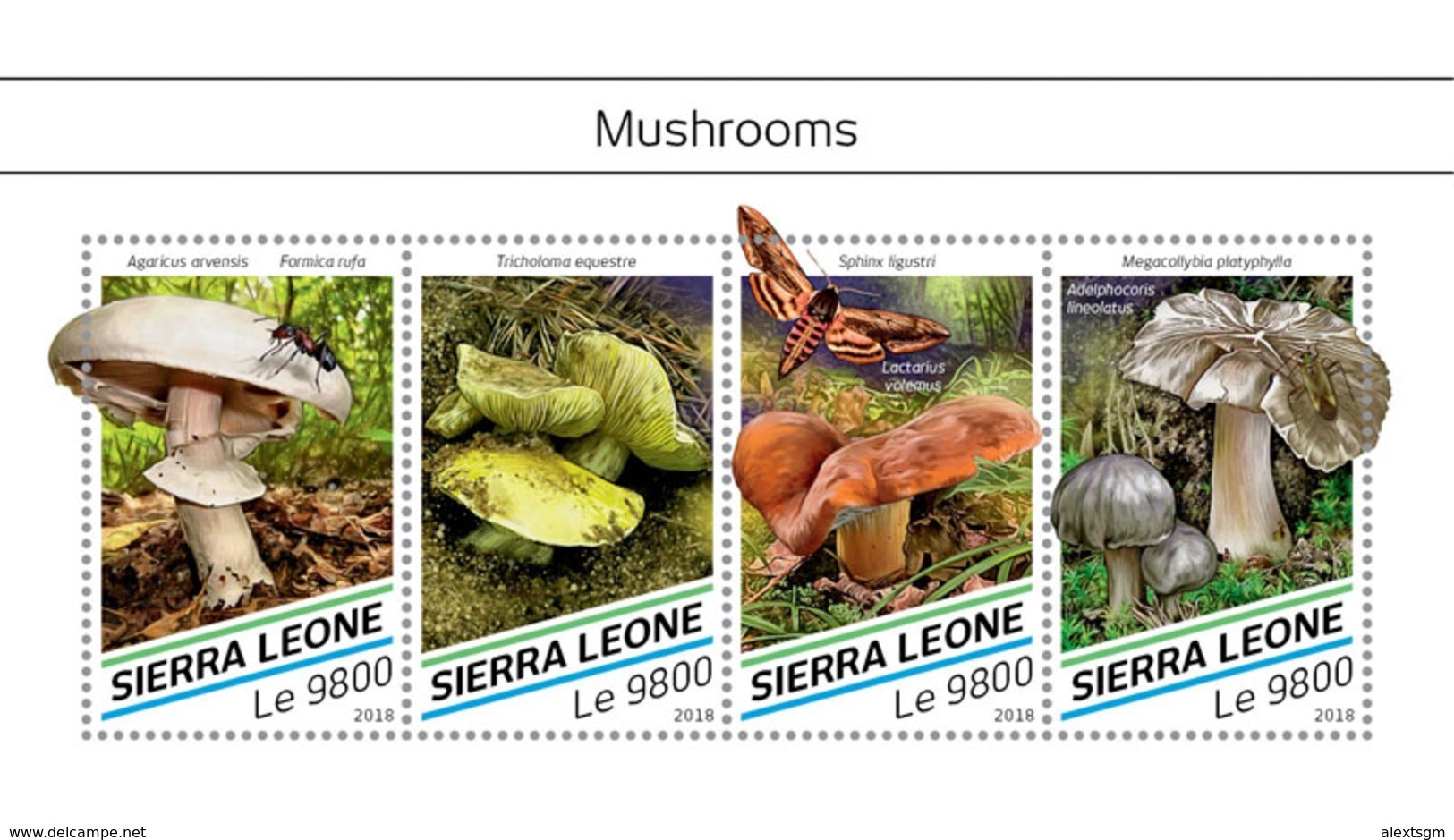 SIERRA LEONE 2018 - Mushrooms. Official Issue. - Funghi