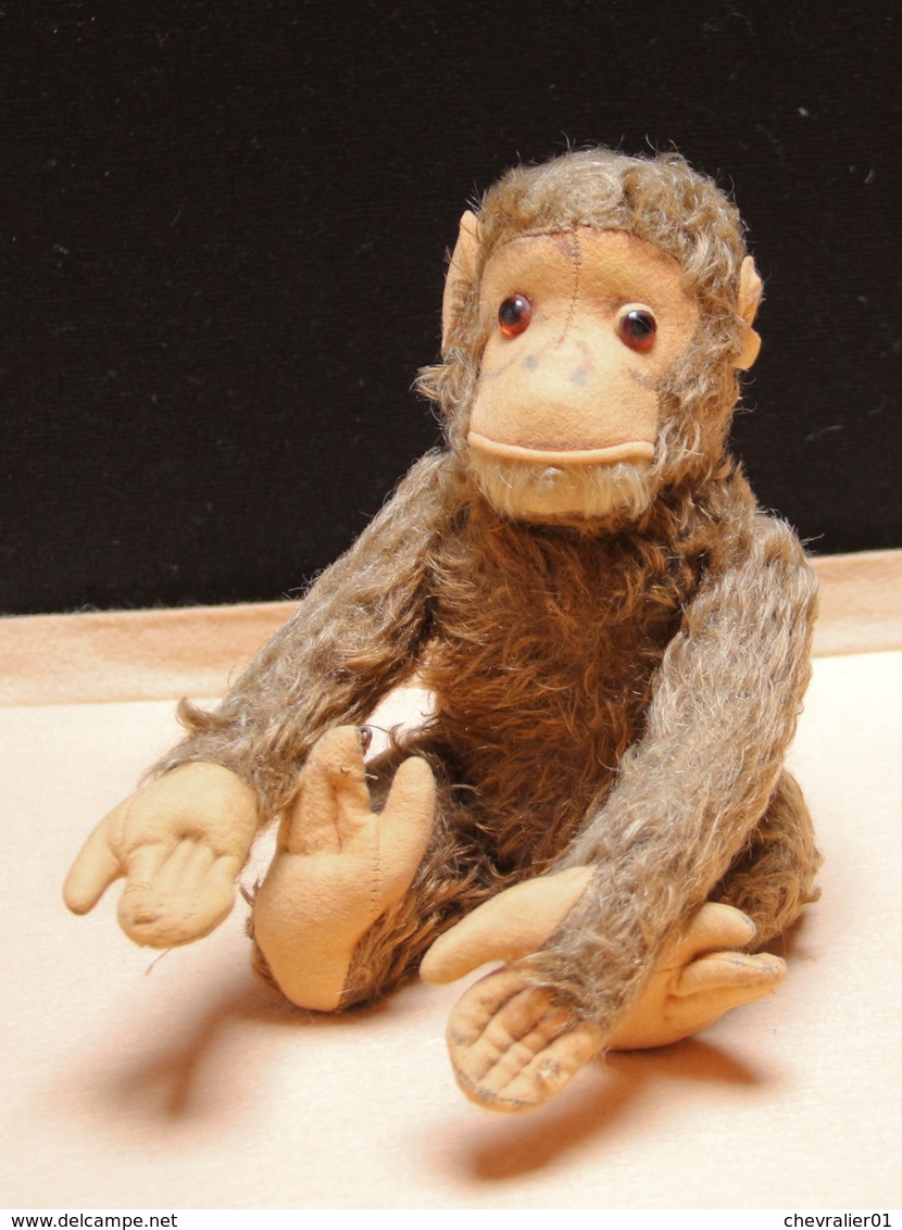 Peluche 154_grand Singe « jocko » Steiff - Steiff Animals